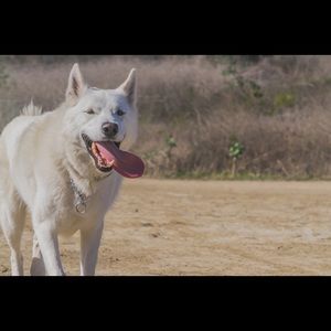 Meet your Posher, Avrie